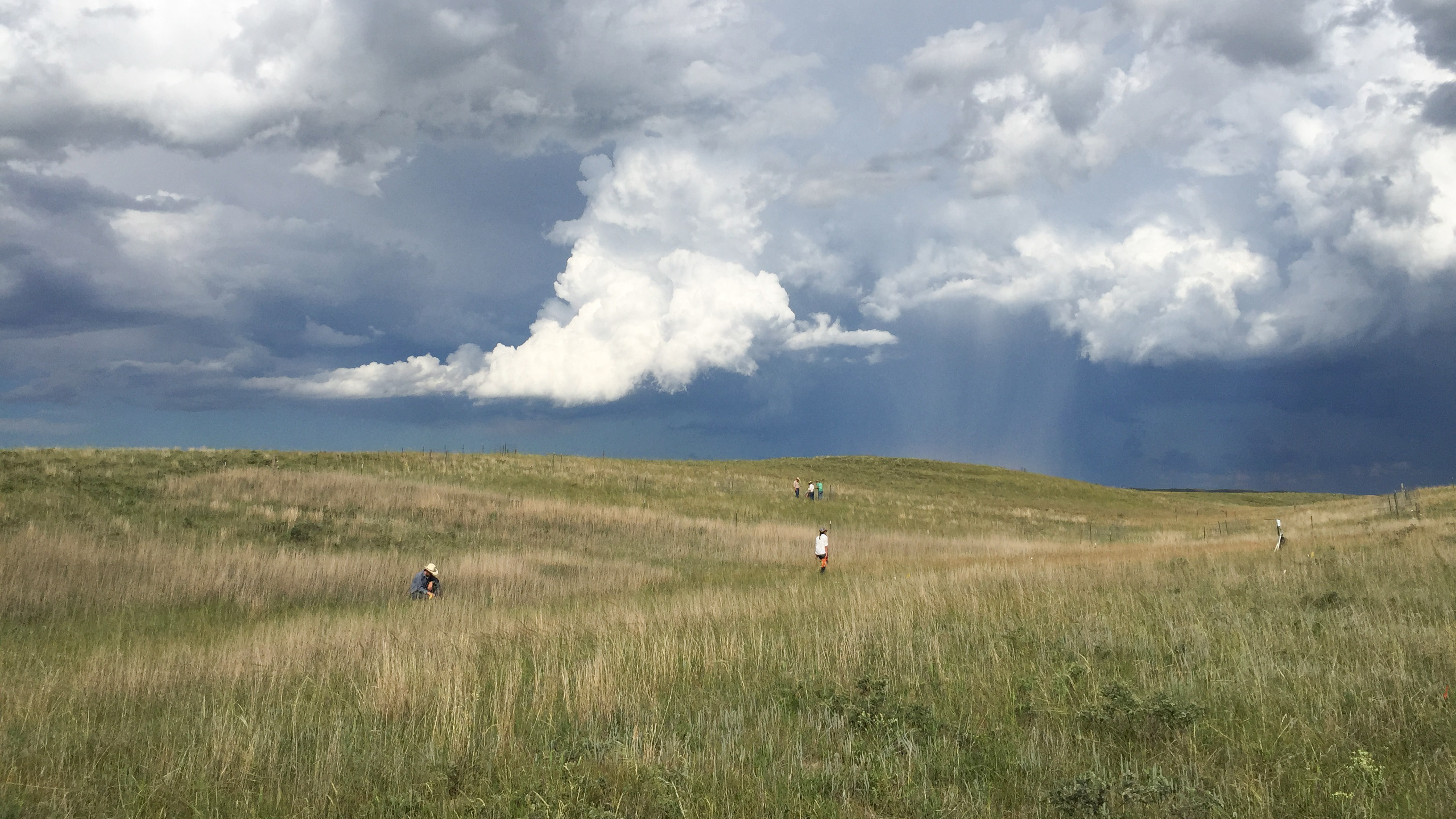 Nebraska Grasslands