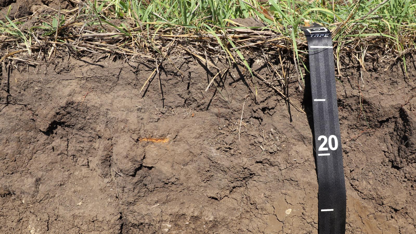 soil profile