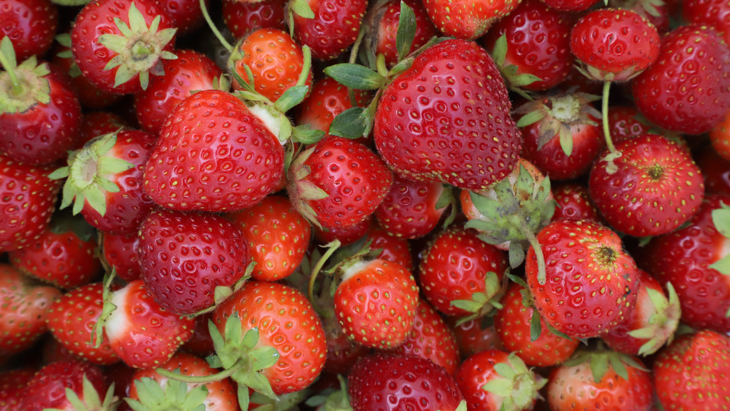 strawberries