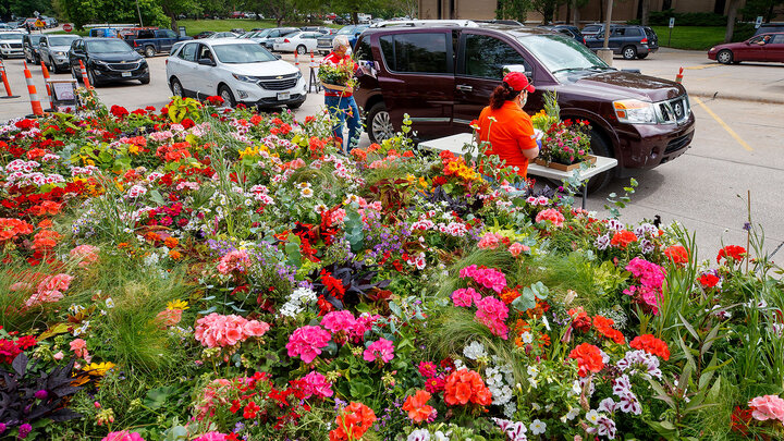 Horticulture Club advisers Stacy Adams (left) and Terri James distribute free flats of plants to Nebraskans May 21 on University of NebraskaâLincoln East Campus. Craig Chandler | University Communication