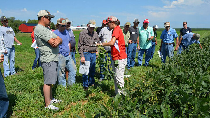 Attendees gather in the field for discussion during the 2023 Soybean Management Field Days in Dewitt. | Photo by the Department of Agronomy and Horticulture