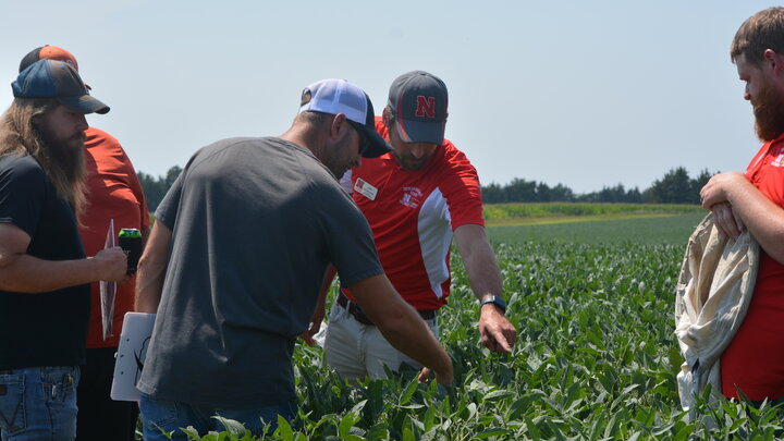 soybean field day