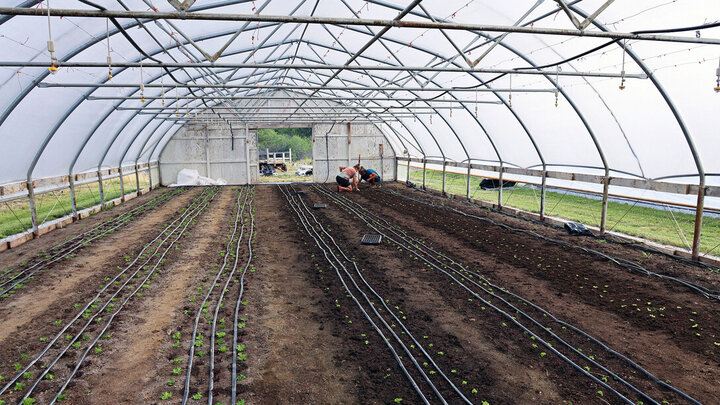 Workers at Robinette Farms in Martell, Nebraska, plant salad greens in one of three high tunnels on the farm.