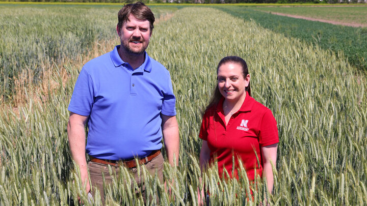 A man in a blue polo and a woman in a red polo stand in a wheat field.