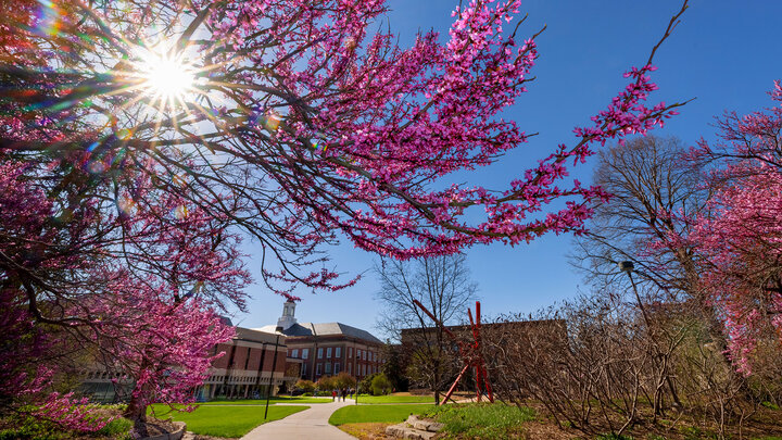 UNL city campus in spring