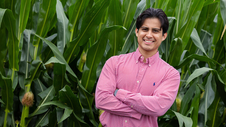 Vladimir Torres-Rodriguez, a research assistant professor in agronomy and horticulture, checks on corn growing in an East Campus nursery plot used by the Schnable Lab team.