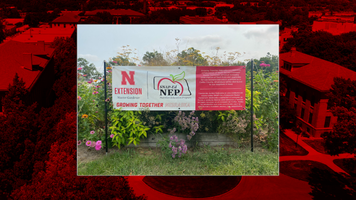 The Growing Together Multi-State Collaborative, a regional food and nutrition program whose partners include Nebraska Extension, has received a national award from the U.S. Department of Agriculture. USDA's National Institute of Food and Agriculture saluted the initiative with the National Extension Excellence Team Award.