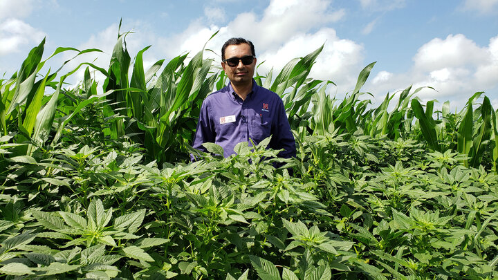 Amit Jhala, Professor and Nebraska Extension Weed Management Specialist