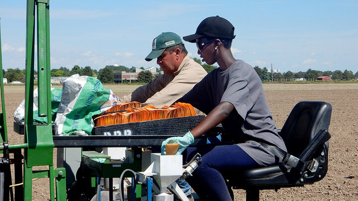 Carlos Urrea, a dry edible bean breeding specialist (left), and intern Peace Munyana plant experiments at the Panhandle Research and Extension Center in Scottsbluff, Nebraska.