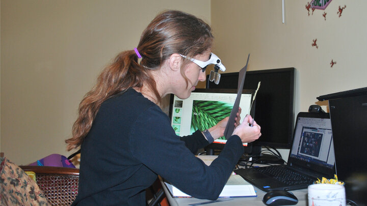 Cheryl Dunn explains the structures of crested wheatgrass to her Wildland Plants students during class on Zoom. | Photo courtesy of Shaun Dunn