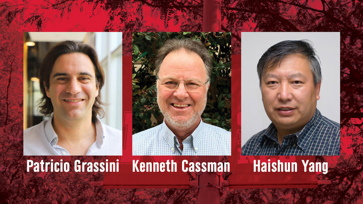 Patricio Grassini, (left), Kenneth Cassman and Haishun Yang 