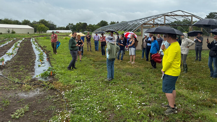 Christian Stephenson, assistant professor of agronomy and horticulture, speaks to Grow Local Field Tour participants about tomato variety evaluation on June 24 on Nebraska's East Campus.