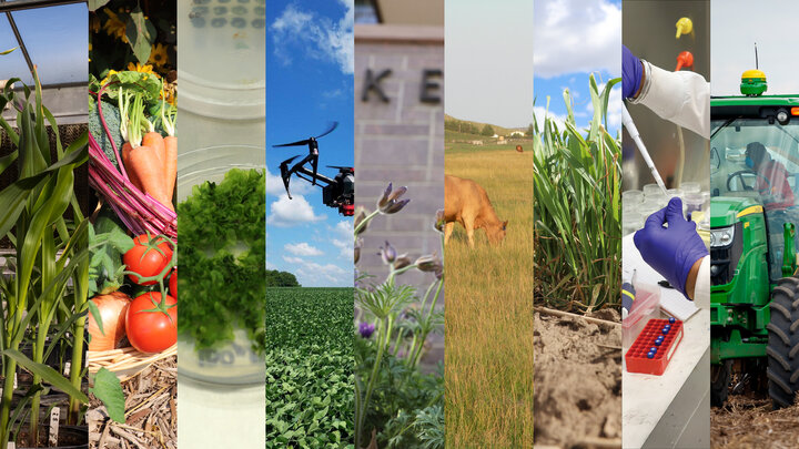 Agronomy and Horticulture Horticulture, Plant Breeding and Genetics, Plant Physiology, Weed, and Production Systems, Range and Forage Sciences, Soil and Water Sciences, Turf and Landscape Systems