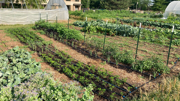 University of Nebraska–Lincoln student gardens on East Campus.