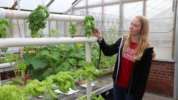 hydroponic open house