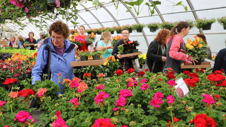 Horticulture Club Plant Sale