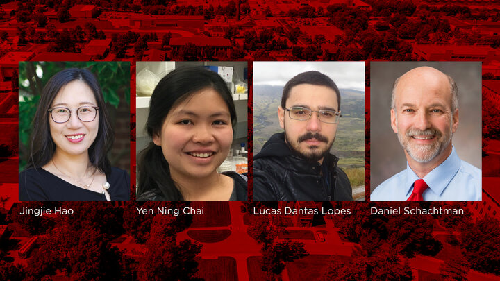 A research article about microbial communities in soil depths was authored by University of NebraskaâLincoln researchers Jingjie Hao, Yen Ning Chai, Lucas Dantas Lopes and Daniel Schachtman and Iowa State University researchers. 