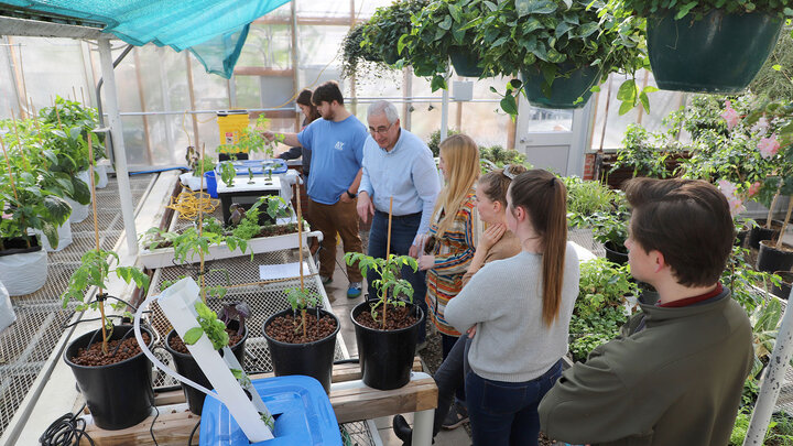 Students work on their hydroponic projects this fall in Horticulture 307 Hydroponics For Growing Populations taught by Stacy Adams, agronomy and horticulture associate professor of practice.