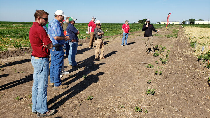 Trey Stephens, agronomy masterâs student, discusses a project of interaction of planting green and pre-emergence herbicides on weed control in soybean.