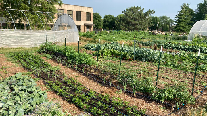 University of NebraskaâLincoln researcher, Sam Wortman, is searching for gardeners and urban farmers to participate in a science project to collect plant and soil data in their own gardens.