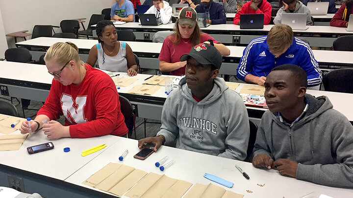 Students prepare wheat seeds for an experiment in Agronomy/Horticulture 131 Plant Science class at the University of Nebraska–Lincoln. | Courtesy Brian Waters, Agronomy and Horticulture