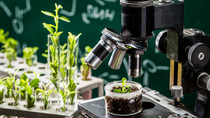 plants and microscope
