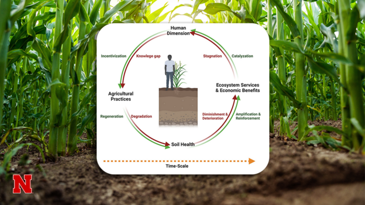 Soil health isn’t just about soil. A new framework shows how people, decisions and patience play a critical role in long-term outcomes.