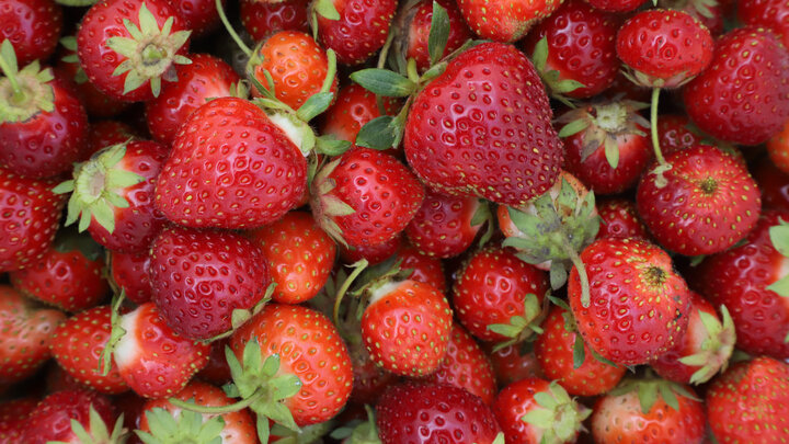 strawberries