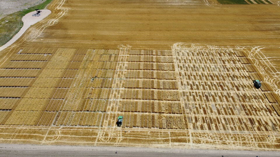 Wheat Field Aerial photo