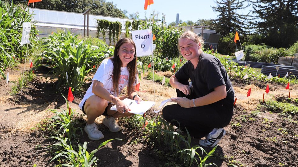 Students in teaching garden