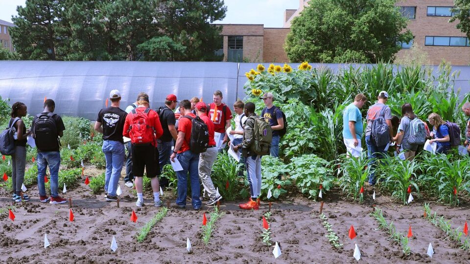 Students in teaching garden