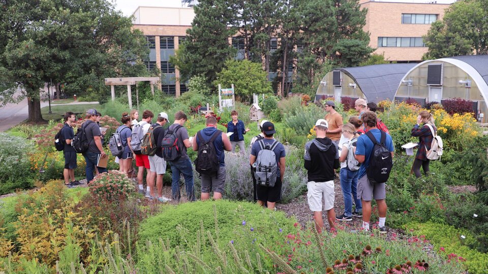 Kim Todd class in Backyard Farmer Gardent