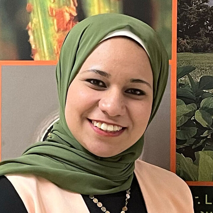 Avatar for Amany Gomaa