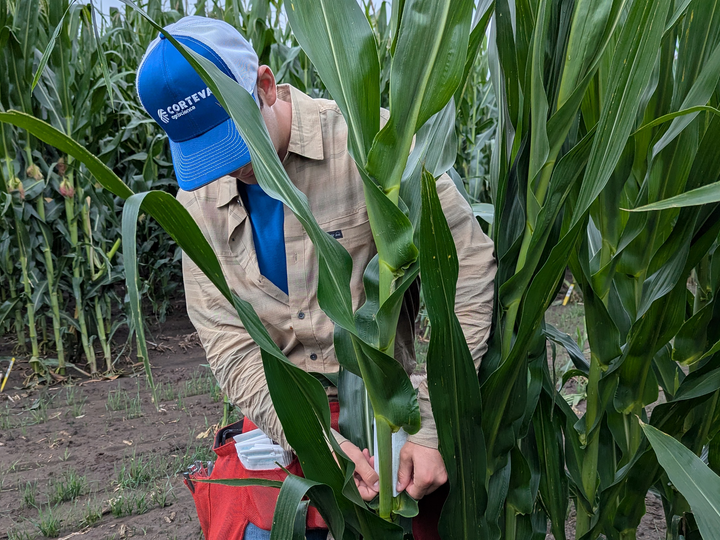 Grant Nielson at work