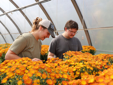Horticulture Club mum sale 2025