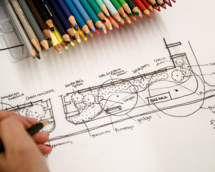 landscape design drawing