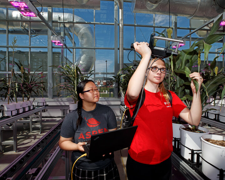 students in greenhouse