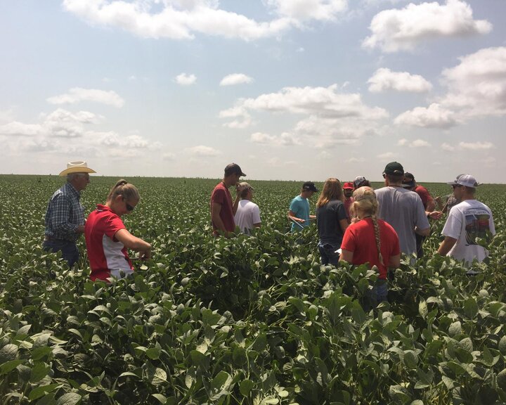 AGRO 405 students in field