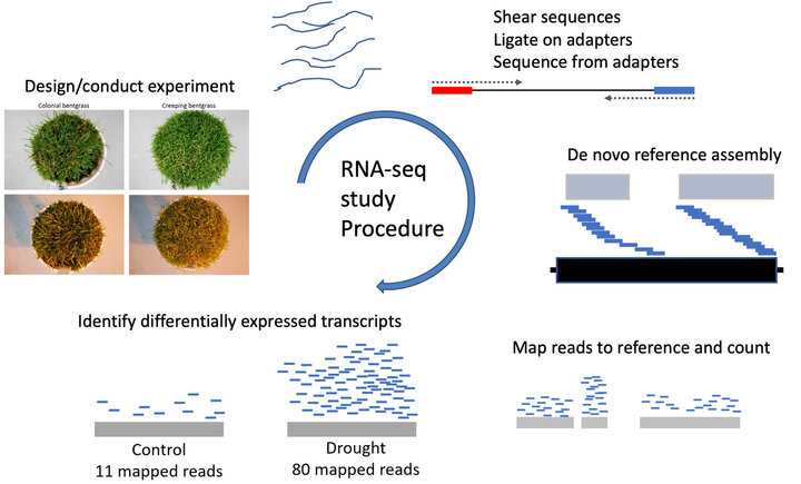 PLAS 420 / AGRO 820: Bioinformatics Applications in Agriculture