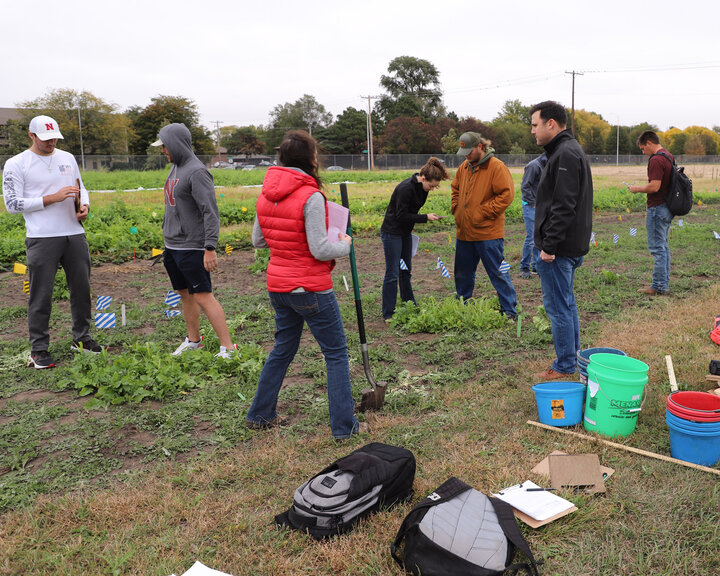 AGRO 425/825: Cover Crops in Agroecosystems class
