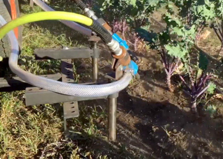 Abrasive weed management in kale.