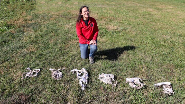 Andrea Basche Microbial Decomposition of Cotton Briefs