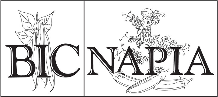 BIC NAPIA logo