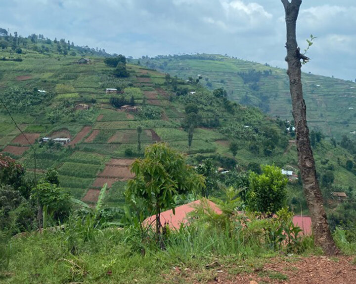 Rwanda Sina Gérard enterprise hill