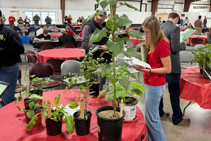 People examining potted plants on a table at a large indoor event.