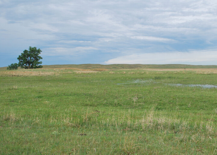 Nebraska sandhills photo