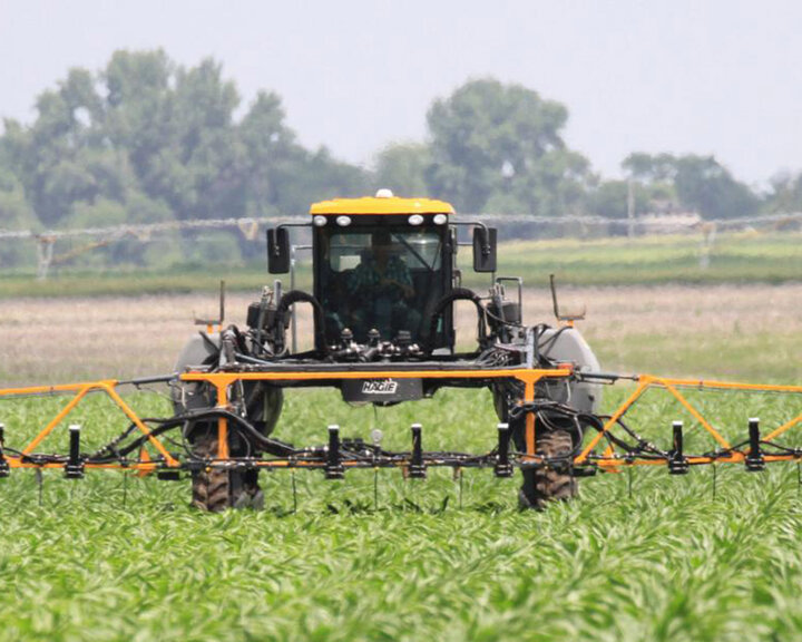 spraying field