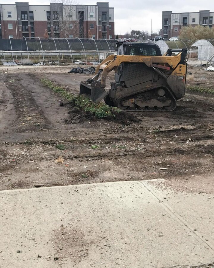 Figure 1. Small front-end loader lifting the crowns. Our crews then went in with shovels to pick up the crowns and shake the soil from the roots.