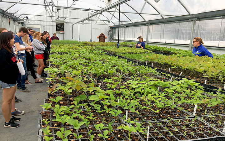 Students in the Horticulture 221 Plant Propagation class at the University of Nebraska–Lincoln visit Great Plains Nursery near Weston, Nebraska, during a spring semester field trip. | Courtesy Sam Wortman, Agronomy and Horticulture