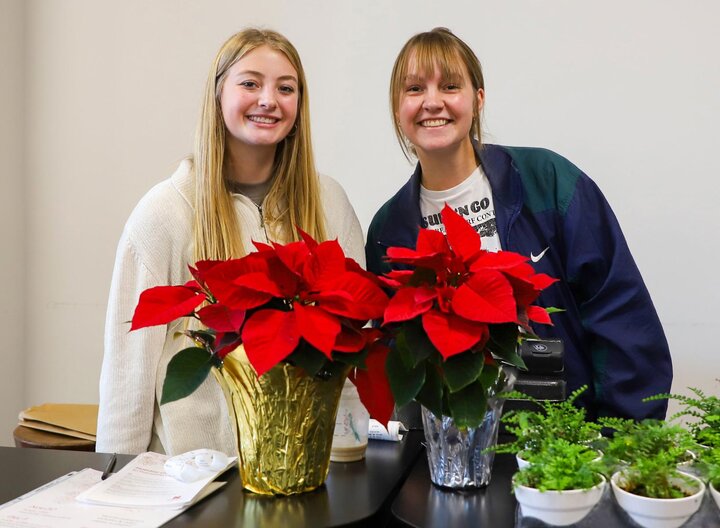 Poinsettia Sale
